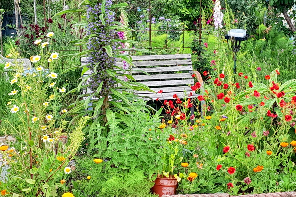 A colourful scene at Eastney allotments in Portsmouth.