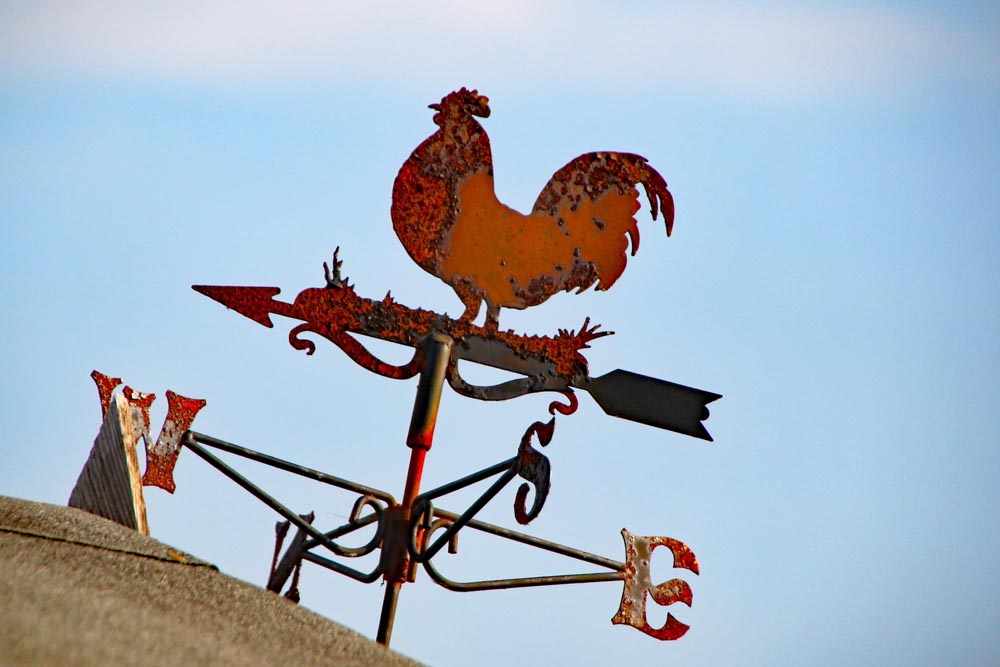 Eastney and Milton Allotment Association