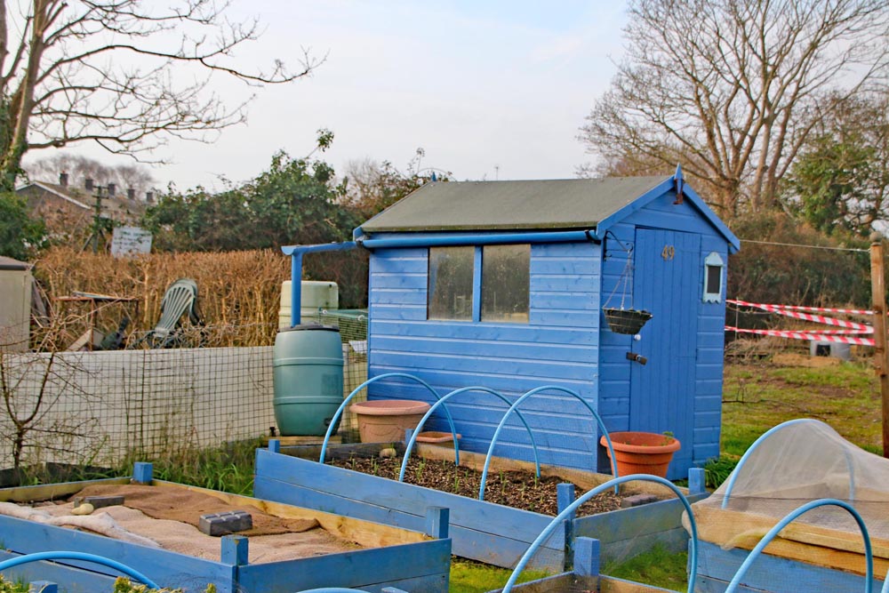 Allotment plot at Eastney Lake allotments.
