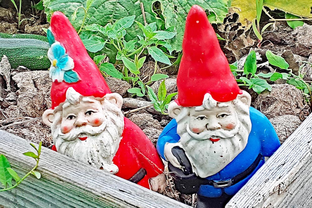 Gnomes at the Milton and Eastney allotments.