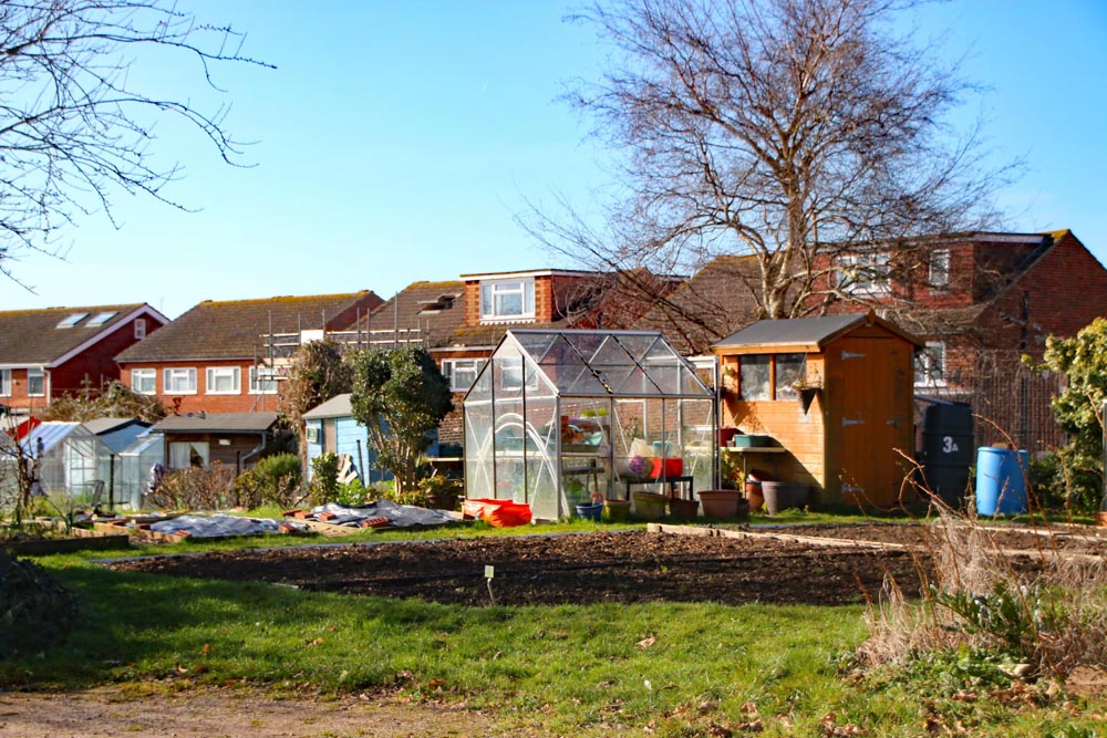 The entrance area at Hope Cottage allotments, Portsmouth.