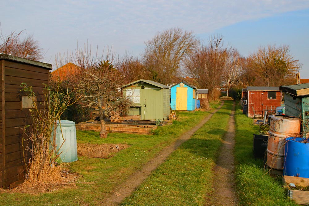Grassy pathway at the hope Cottage allotment site in Milton, Portsmouth.