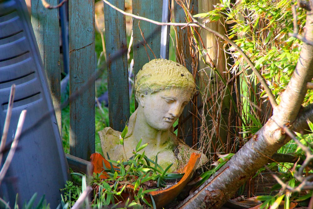 Allotment plot at Milton Piece allotments in Portsmouth.