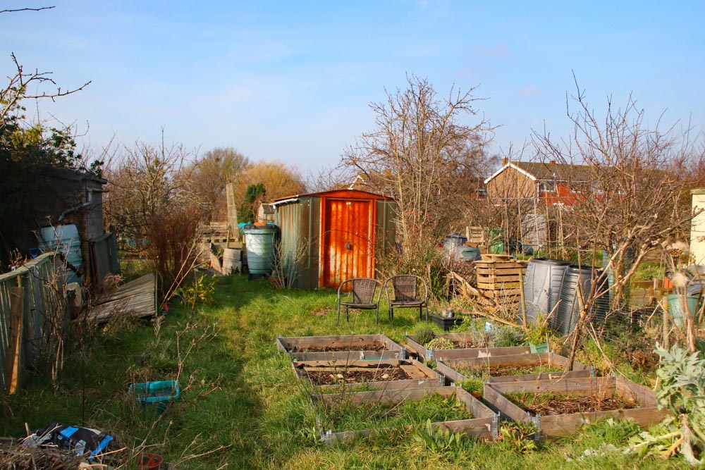 Milton Piece allotment site, Portsmouth.