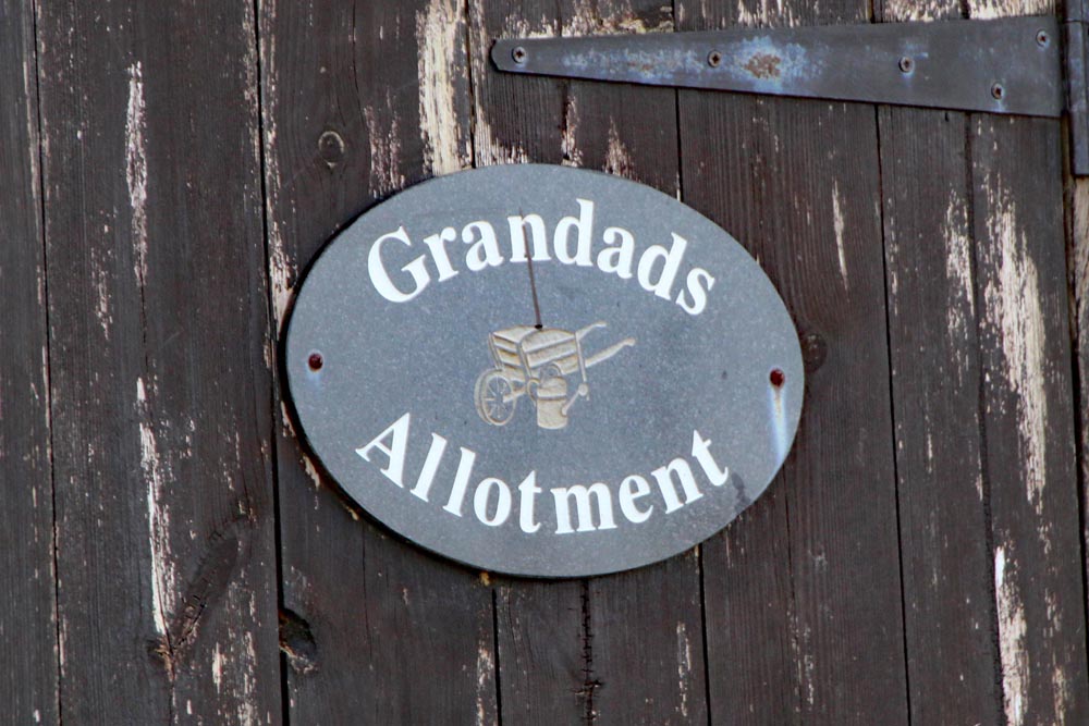 Grandads shed at Eastney Lake allotments.